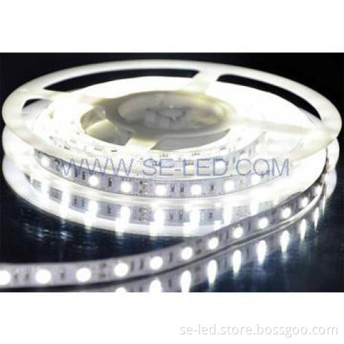 IP33 ahorro de energía 5050SMD Wam Blanco TIRAS LED FLEXIBLES